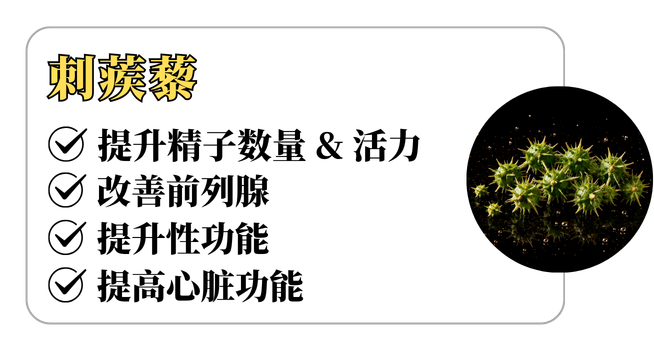 REMAN成分介绍 3