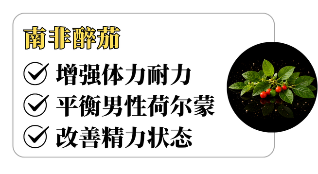 REMAN成分介绍 4