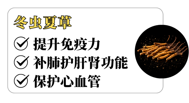 REMAN成分介绍 5