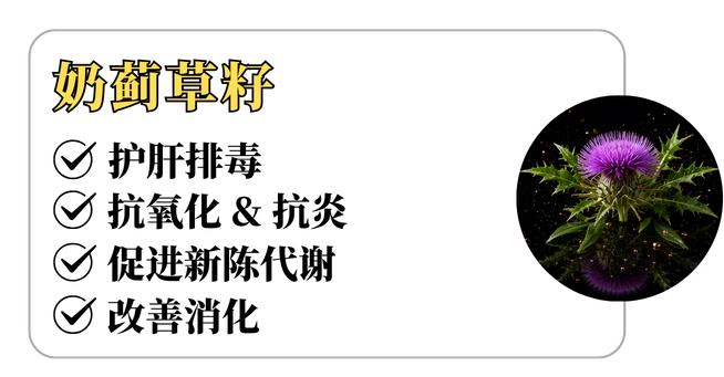 REMAN成分介绍 6